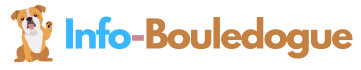 Bouledogue Français